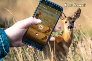 پوستر Deer Sounds