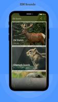 Elk Sounds الملصق