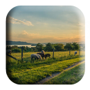 APK Farm Sounds Ringtone