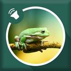 Frog Sounds ikona