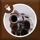Guns Sounds أيقونة