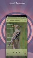 Hoopoe Bird Song captura de pantalla 1