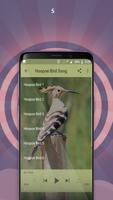 Hoopoe Bird Song captura de pantalla 2