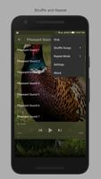Pheasant Sounds screenshot 3