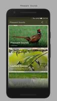 Pheasant Sounds poster