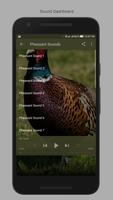 Pheasant Sounds screenshot 1