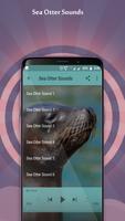 Sea Otter Sounds imagem de tela 1