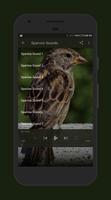 Sparrow Sounds captura de pantalla 1