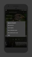 Sparrow Sounds captura de pantalla 2