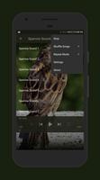 Sparrow Sounds captura de pantalla 3