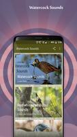 Watercock Sounds पोस्टर