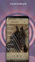 Zebra Sounds imagem de tela 3
