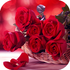Roses Flower Wallpapers HD أيقونة