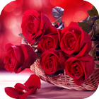 آیکون‌ Roses Flower Wallpapers HD