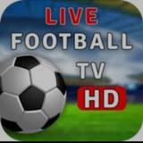 Live Football live Stream icône