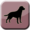 Dog Sounds aplikacja