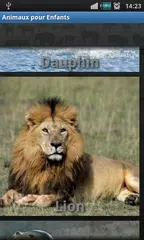download Animal Sounds XAPK