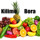 Kilimo Bora Na Ufugaji - Jifunze Kilimo cha Kisasa-APK