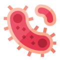 ”Kill the Virus
