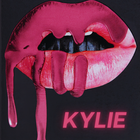 kylie cosmetics আইকন