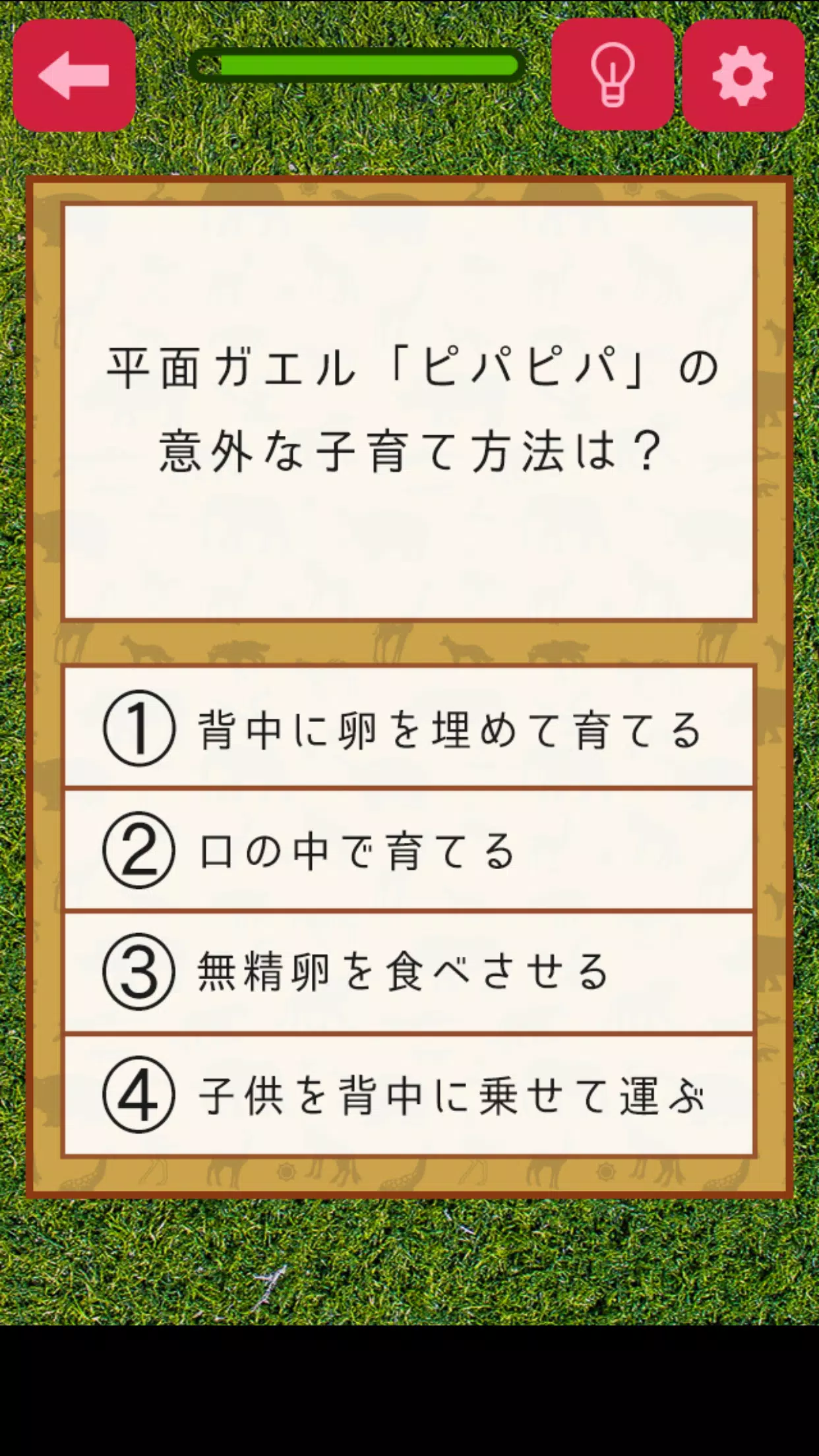 Download Do Apk De 雑学クイズ 動物編 Para Android