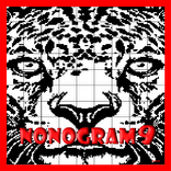 Nonogram 9 (Picross Logic)