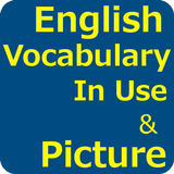 English Vocabulary icône