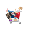 Kim's Cart
