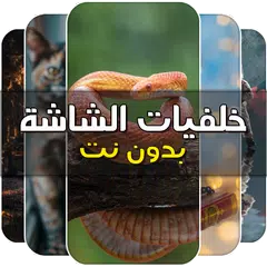 خلفيات الشاشة روعة بدون نت APK Herunterladen