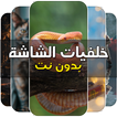 خلفيات الشاشة روعة بدون نت