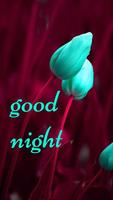 Good Night images Affiche