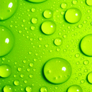 APK Green Water Wallpaper
