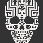 Black White Skull Wallpaper icône
