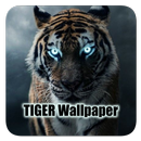 Black Tiger Wallpapers | Cool APK