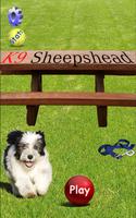 K9 Sheepshead Affiche