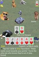 K9 Sheepshead screenshot 2