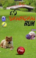 K9 Shanghai Rummy poster