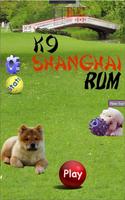 K9 Shanghai Rummy penulis hantaran