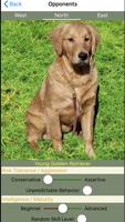 K9 Shanghai Rummy syot layar 2
