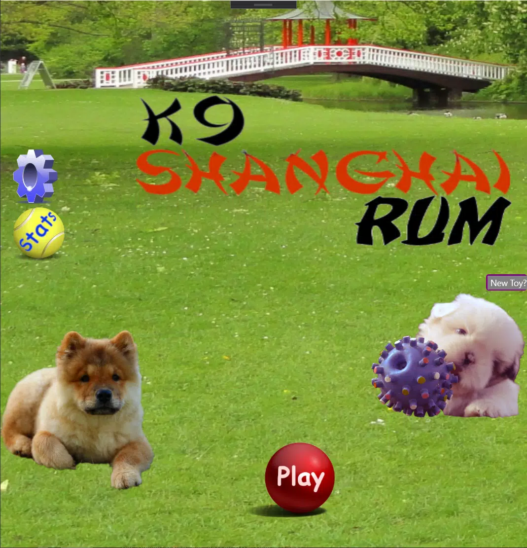 K9 Shanghai Rummy APK for Android Download