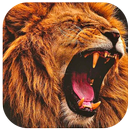 🦁 Lion Wallpapers 🦁 - Lion Backgrounds APK