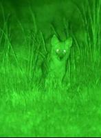 Night Vision Thermal Color Filter Effect CameraPRO Plakat