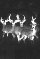 Night Vision Thermal Color Filter Effect CameraPRO Screenshot 1