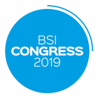 BSI 2019 icône