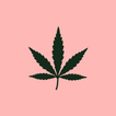 Expo Cannabis Argentina icon