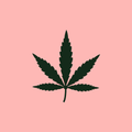 Expo Cannabis Argentina