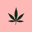 Expo Cannabis Argentina APK