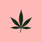 Expo Cannabis Argentina 圖標