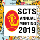 SCTS2019 图标