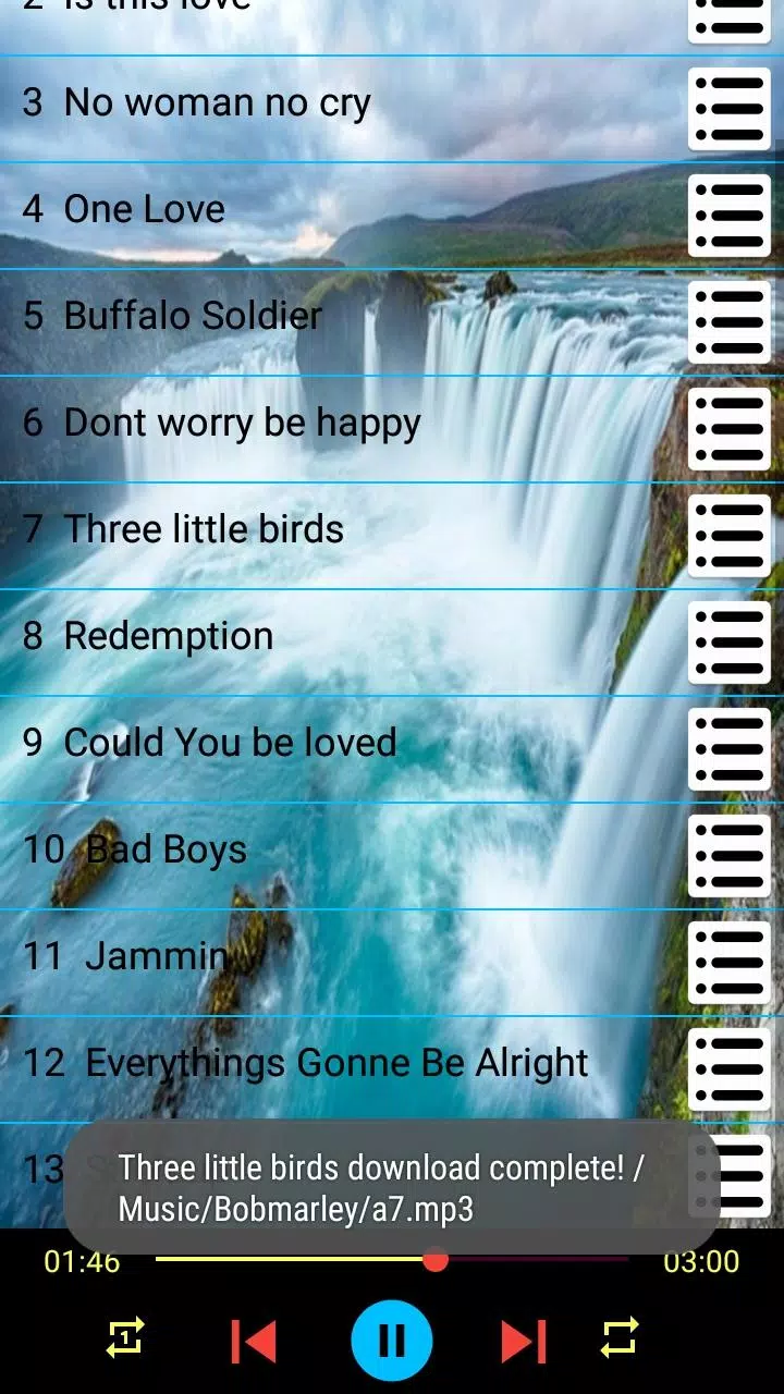 Bob Marley Songs High Voice Quality OFFLINE APK for Android Download